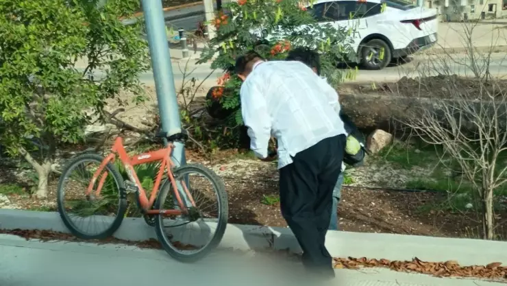 ÚLTIMA HORA_ Chófer del Ie-Tram AROLLA a ciclista que invadió el carril