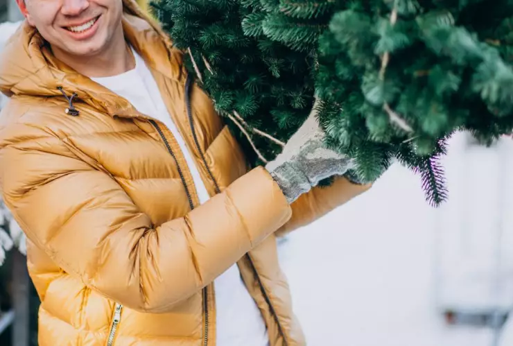 cruzar un arbolito de navidad por las garitas de Tijuana