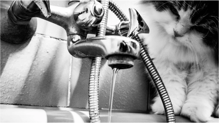 ¿Por qué no hay agua en Aguascalientes_ Detectan este problema en pozos de agua