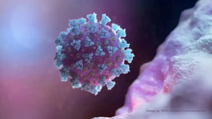 coronavirus virus