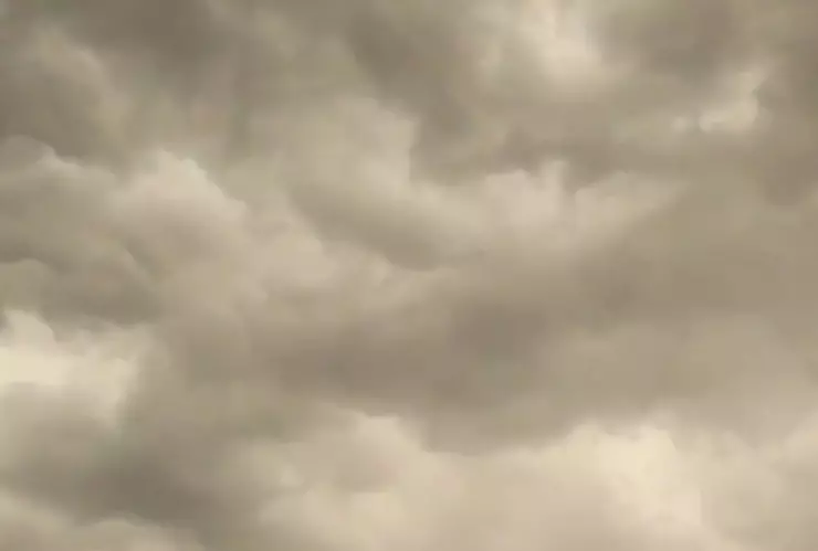 Daños por viento y lluvias en Culiacán