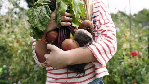 Dos municipios de Oaxaca tienen mayor índice de trabajo infantil
