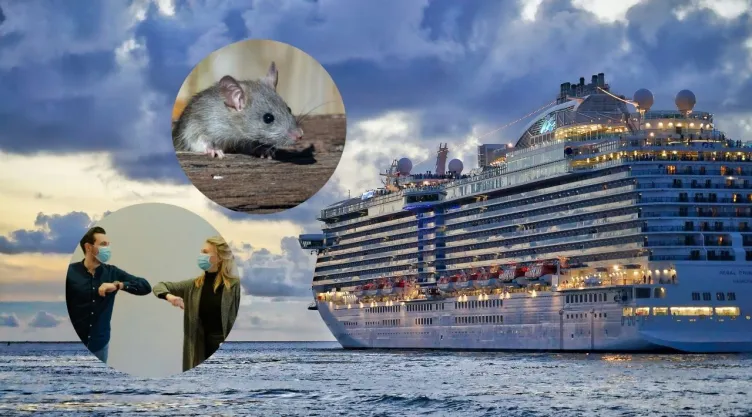 Fotos de crucero, de rata y de dos personas con cubrebocas.