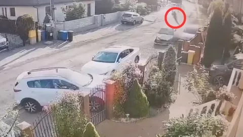 Carro atropella a mujer