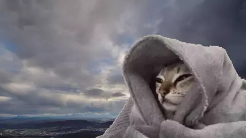 ¿Cuántos frentes fríos impactarán a México en lo que resta del 2023?