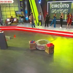 Circuito grupero de box cgp