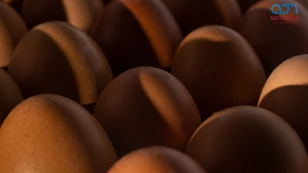  Brote de salmonela en huevos provoca alerta en EUA 