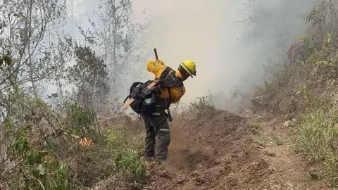 Incendios forestales en Veracruz