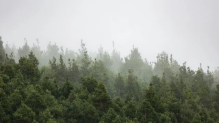 Clima hoy en Jalisco 18 de noviembre de 2025.jpg