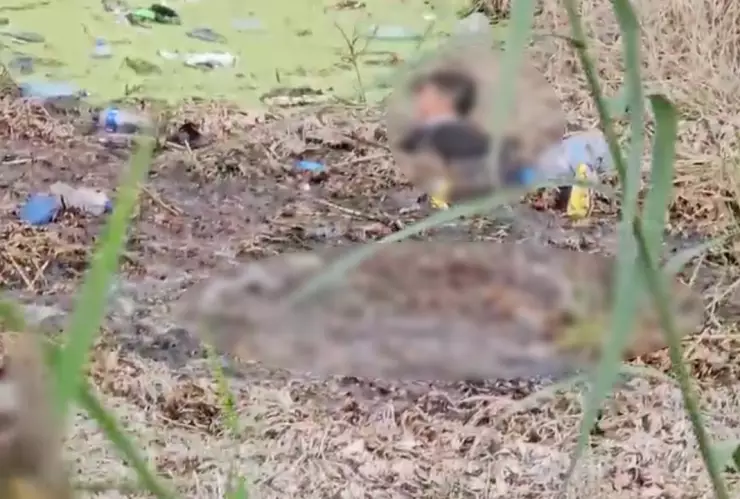 Mueren dos migrantes ahogados al tratar de cruzar el río Bravo