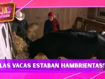 ¡Ni la comida de las vacas distinguen! Rafa Mercadante se molesta por un GRAVE error en La Granja VIP