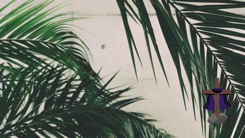 Domingo de ramos: ¿De qué los hacen y cuál es su origen?