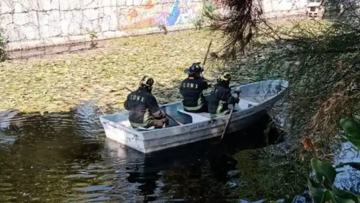 bomberos canal nacional