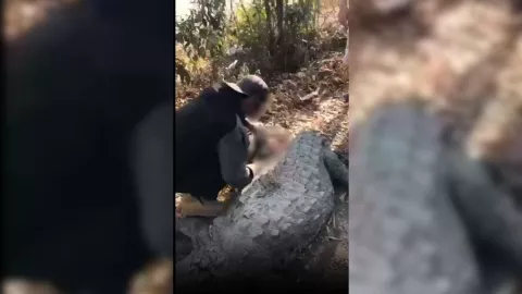 Se graban mutilando a cocodrilo en Eldorado.