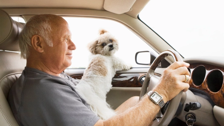 Esta es la edad a la que ya no podrás sacar tu licencia de conducir en México