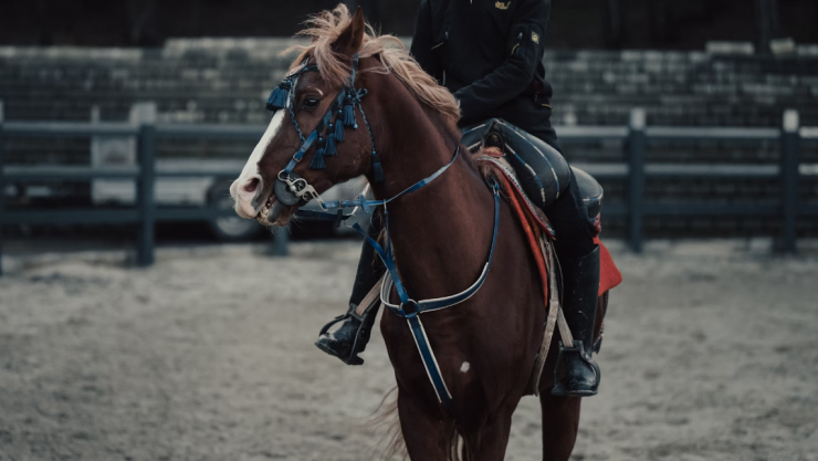 Hombre muere tras caer de su caballo en Santa Rosa Jáuregui Querétaro