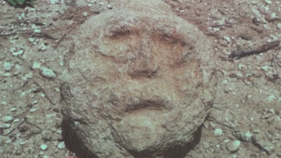 Dificultan saqueos investigaciones en hallazgos arqueológicos