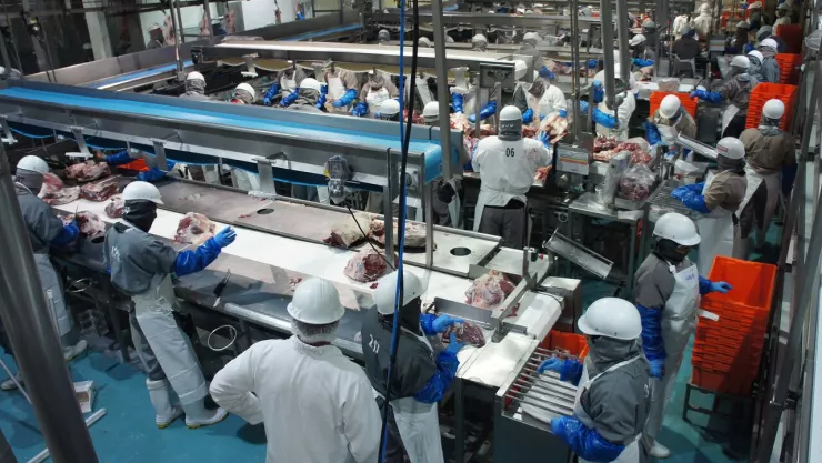 Fortaleza sanitaria sagarpa