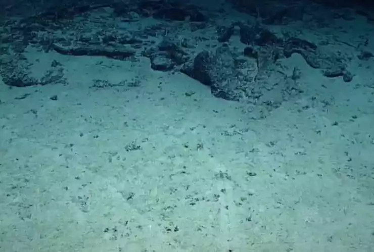 NOAA pide ayuda para descifrar agujeros en fondo del océano