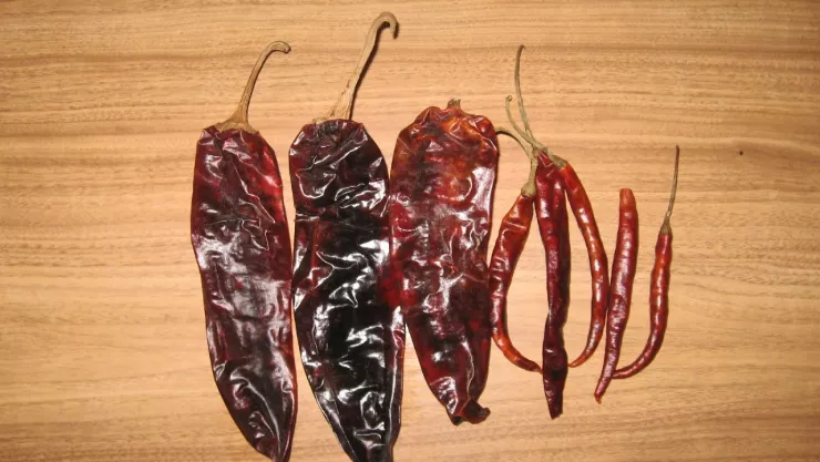 Buscarán en Zacatecas denominación de origen para chile guajillo