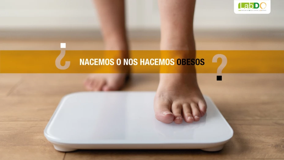 WhatsApp Image 2023-02-28 at 20.09.11.jpeg