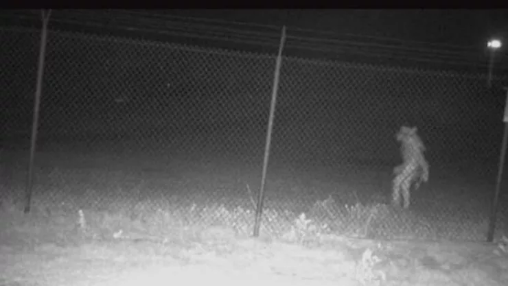 Reaparece el Chupacabras en Texas