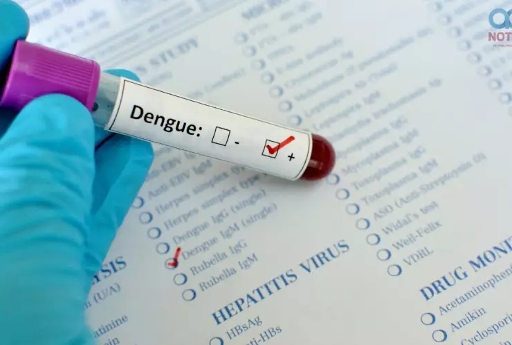 vacuna contra el dengue.jpg