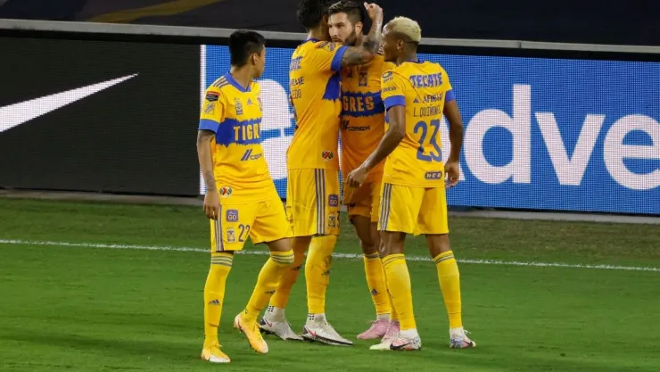 tigres.jpg