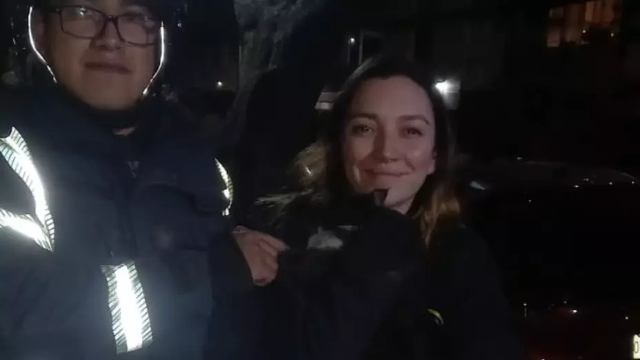 Bomberos rescatan al gatito de Regina Blandón en la Condesa, CDMX