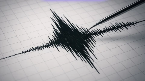 Se registra SISMO en Guerrero HOY 12 de febrero.