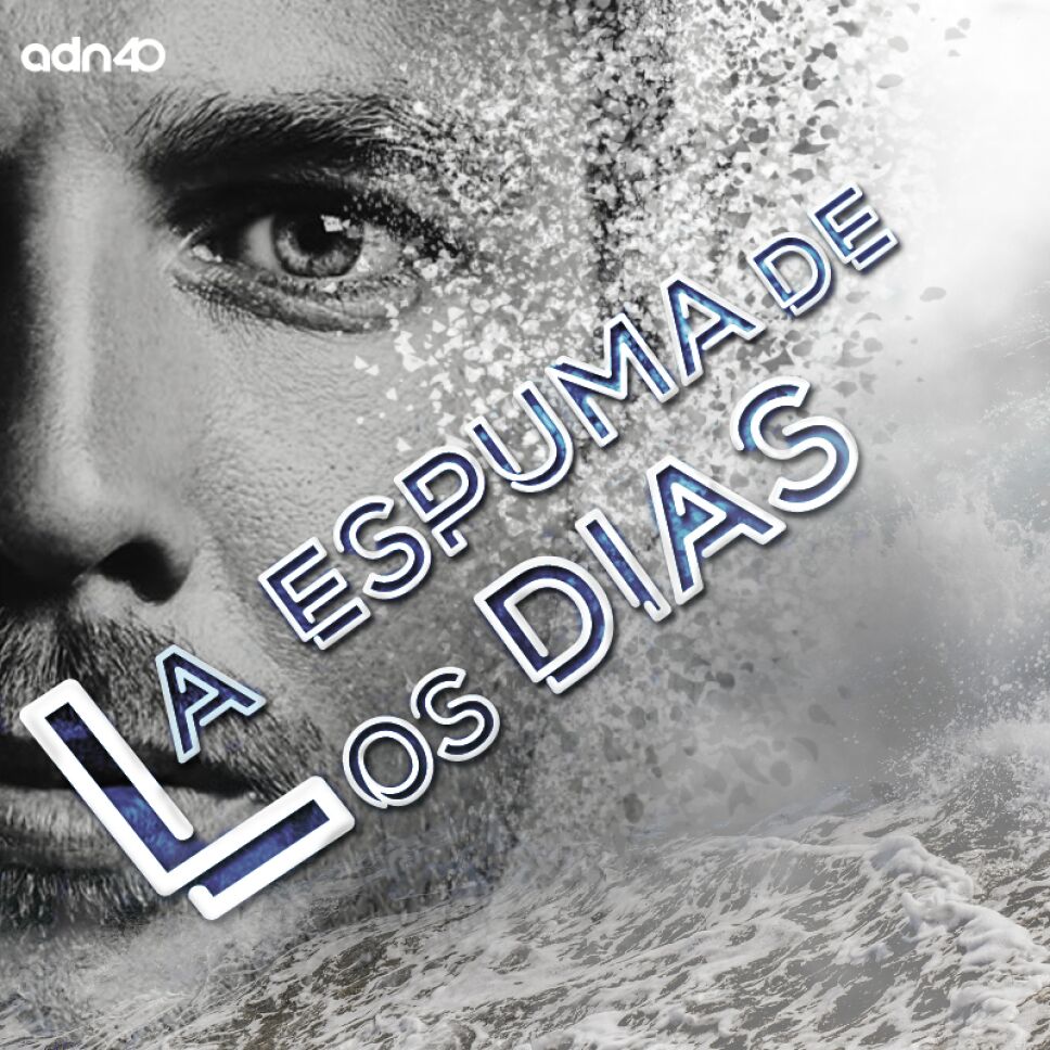 La espuma de los días
