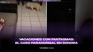 Vacaciones fantasma