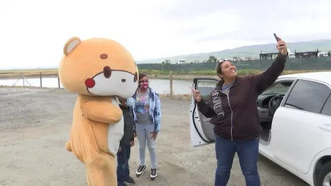 “Bearsun”, el oso que camina para recaudar fondos