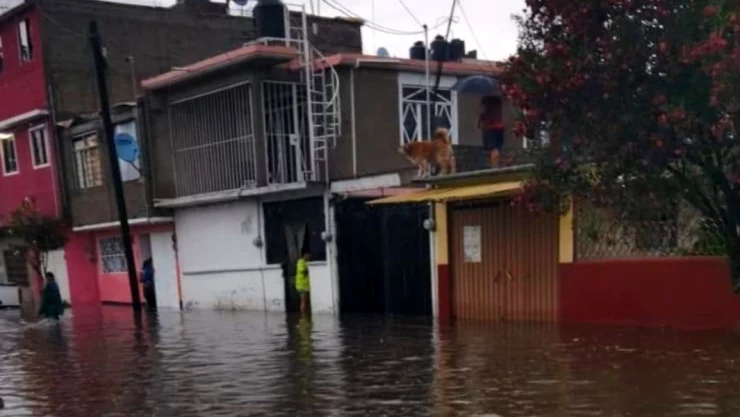 inundaciones consejos cuidar casa