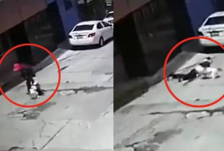 Puebla pit bull mujer adulta mayor