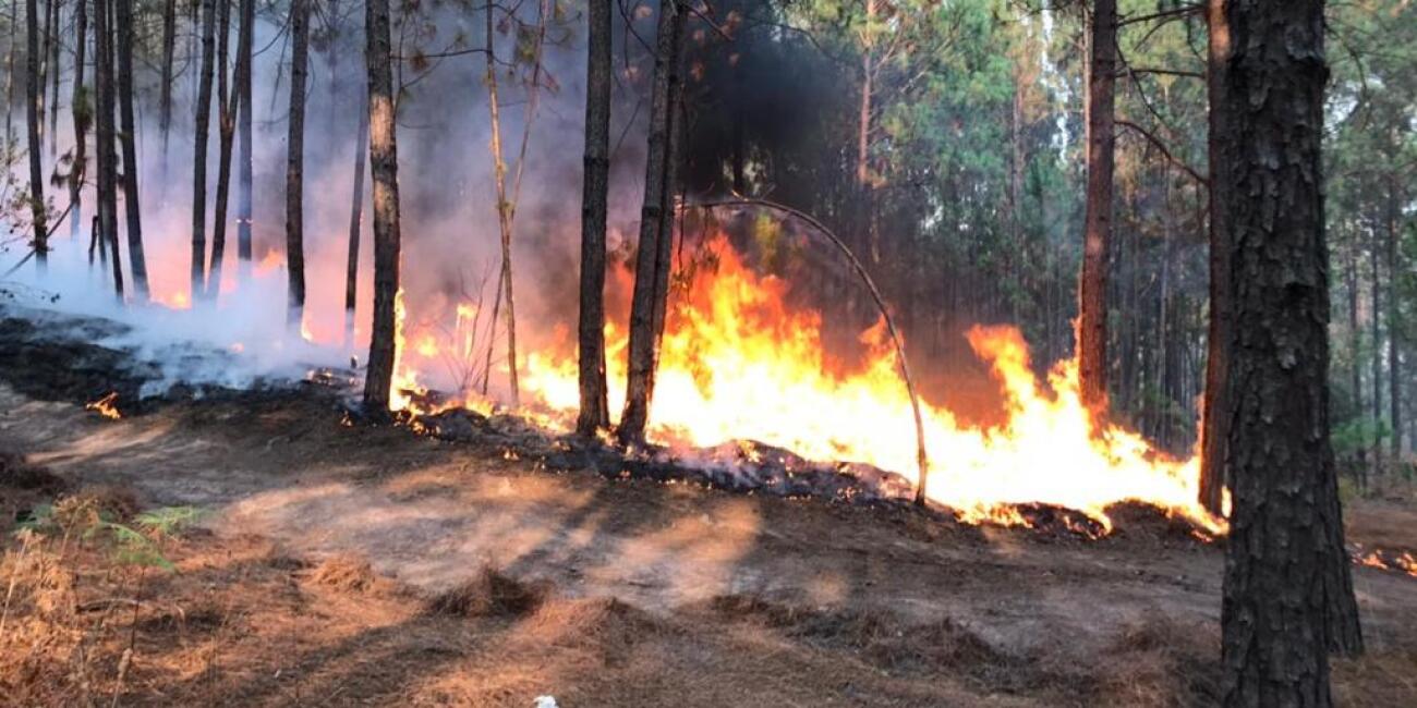 Arde cerro La Joyita en Agostitlán (4).jpeg