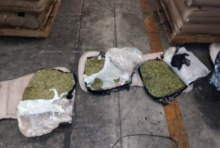 DECOMISO MARIHUANA (4).jpeg