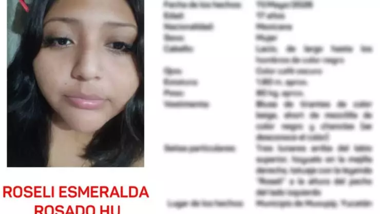 PORTADA Alerta Amber Roseli Rosado.jpg