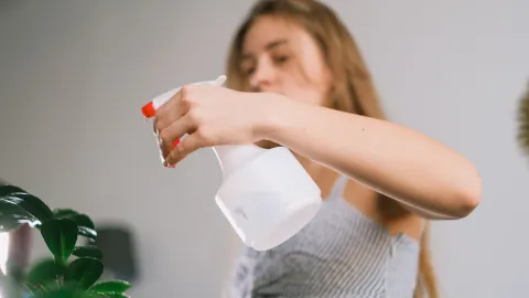 La receta definitiva para deshacerte de los pulgones sin dañar tus plantas
