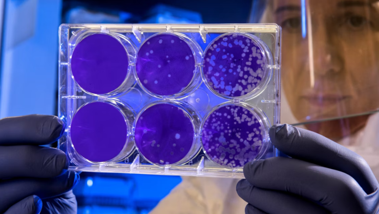 Alerta OMS por nuevo virus: Detectan una variante de COVID; la llaman “Frankenstein”