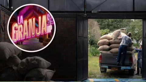 Trabajos de La Granja VIP ideales para los críticos, de Ferka a Lola Cortés.