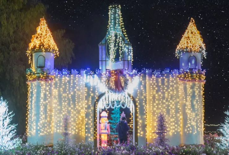 Ruta del maíz en Tijuana horarios y precios 2024 ¿Qué días está cerrado y cómo reservar en temporada navideña?