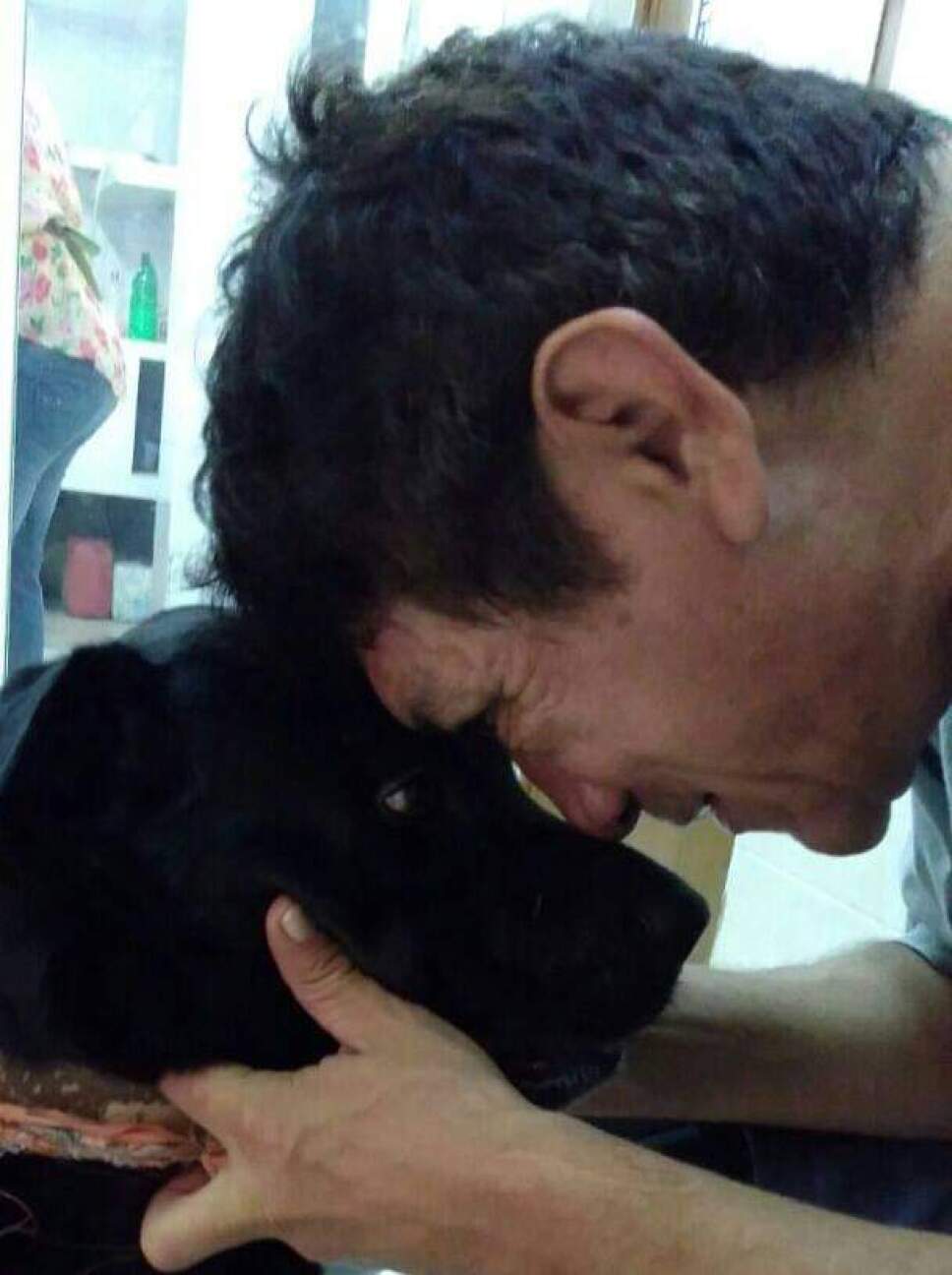 El señor de los perros 2