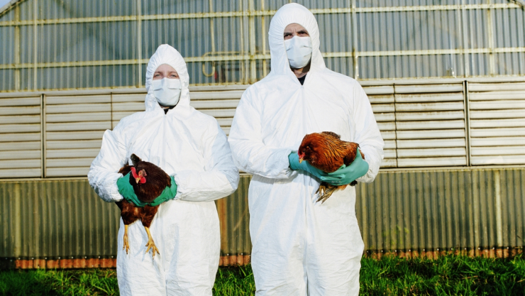 primer caso de gripe aviar