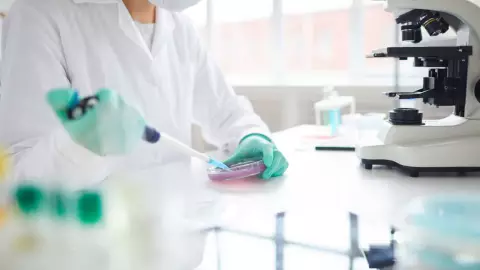 UACH Medicina Ciudad Juárez