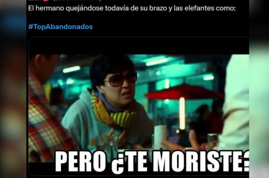 Para terminar, uno de los más divertidos: el hermano estaba de quejumbroso mientras el elefantito solo disfrutaba de su día. ¡Sin duda, momentos que no te puedes perder!
