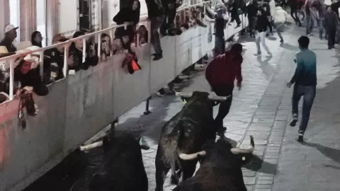 Pueblo Mágico Pamplonada