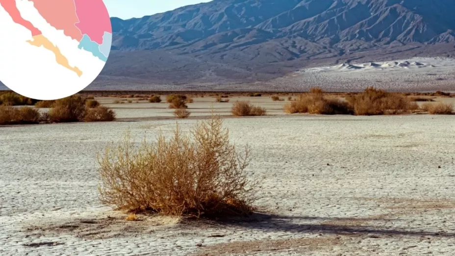 ¿Sismos en Valle de la Muerte en Estados Unidos afectan al estado de Baja California?