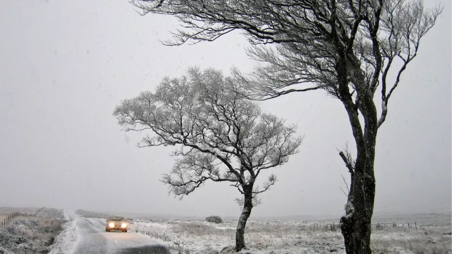 Masa de aire polar 2025 ¿Qué es y cuáles son los efectos que traerá al clima en Aguascalientes