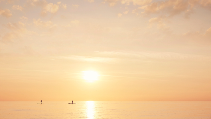 Verde, amarillo, blanco, científicos revelan cuál es el color del Sol.jpeg